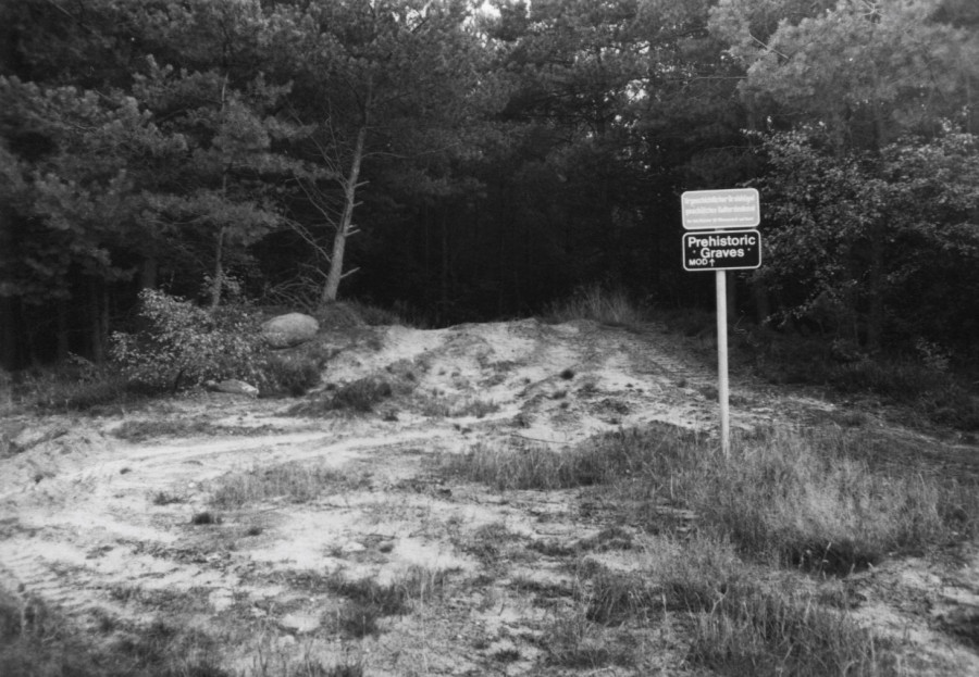 Photos of signs in 1977